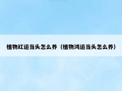 植物红运当头怎么养（植物鸿运当头怎么养）