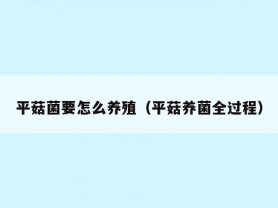 平菇菌要怎么养殖（平菇养菌全过程）
