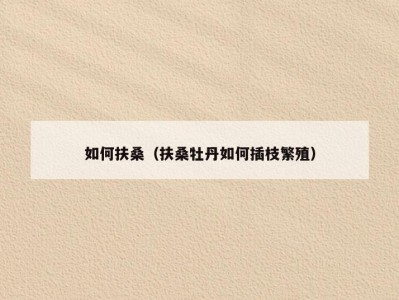 如何扶桑（扶桑牡丹如何插枝繁殖）