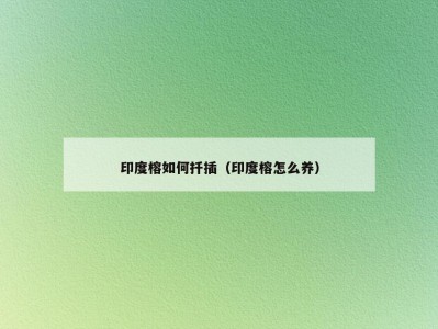 印度榕如何扦插（印度榕怎么养）