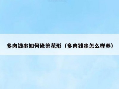 多肉钱串如何修剪花形（多肉钱串怎么样养）