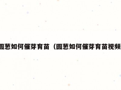 圆葱如何催芽育苗（圆葱如何催芽育苗视频）