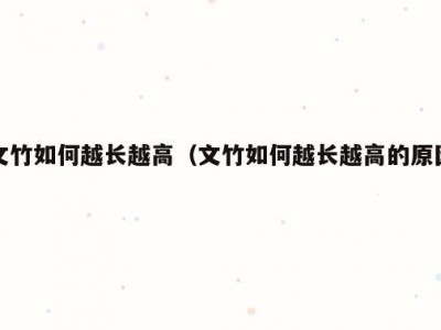 文竹如何越长越高（文竹如何越长越高的原因）
