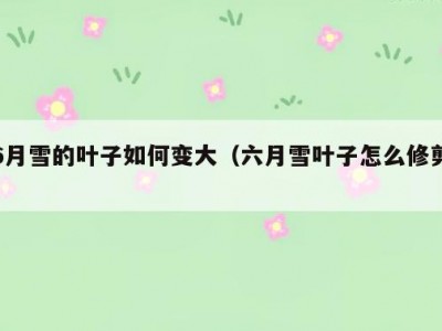 6月雪的叶子如何变大（六月雪叶子怎么修剪）