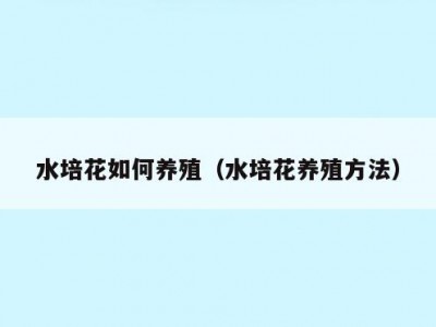 水培花如何养殖（水培花养殖方法）