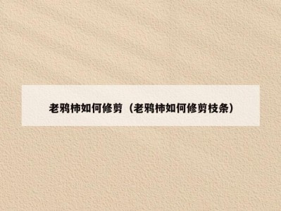 老鸦柿如何修剪（老鸦柿如何修剪枝条）
