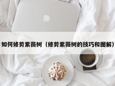 如何修剪紫薇树（修剪紫薇树的技巧和图解）