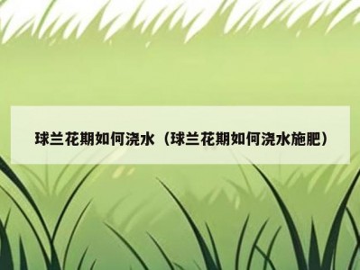 球兰花期如何浇水（球兰花期如何浇水施肥）