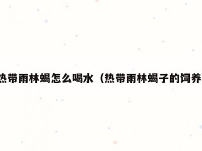 热带雨林蝎怎么喝水（热带雨林蝎子的饲养）