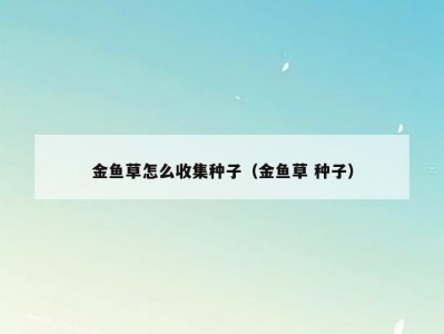 金鱼草怎么收集种子（金鱼草 种子）