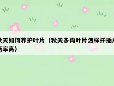 秋天如何养护叶片（秋天多肉叶片怎样扦插成活率高）