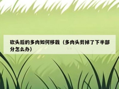 砍头后的多肉如何移栽（多肉头剪掉了下半部分怎么办）