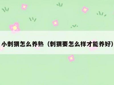 小刺猬怎么养熟（刺猬要怎么样才能养好）