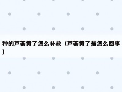 种的芦荟黄了怎么补救（芦荟黄了是怎么回事）