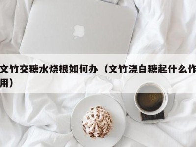 文竹交糖水烧根如何办（文竹浇白糖起什么作用）
