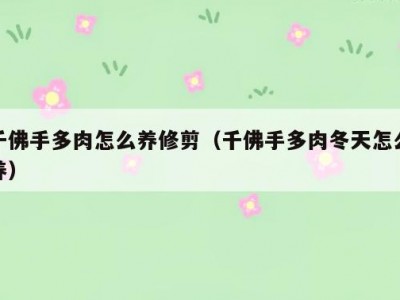 千佛手多肉怎么养修剪（千佛手多肉冬天怎么养）