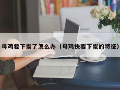 母鸡要下蛋了怎么办（母鸡快要下蛋的特征）