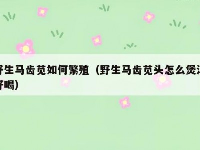 野生马齿苋如何繁殖（野生马齿苋头怎么煲汤好喝）