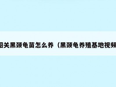韶关黑颈龟苗怎么养（黑颈龟养殖基地视频）