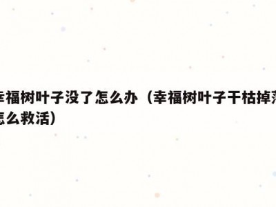 幸福树叶子没了怎么办（幸福树叶子干枯掉落怎么救活）