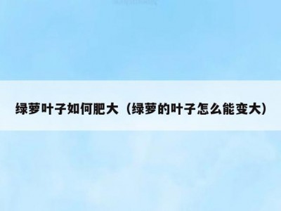 绿萝叶子如何肥大（绿萝的叶子怎么能变大）