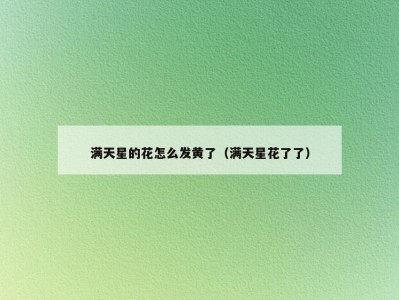 满天星的花怎么发黄了（满天星花了了）