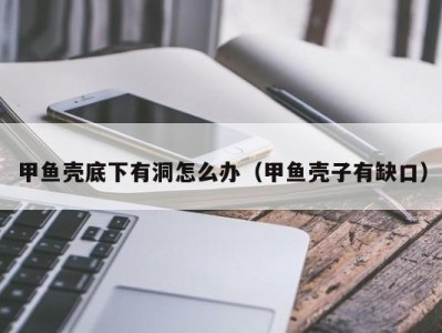 甲鱼壳底下有洞怎么办（甲鱼壳子有缺口）