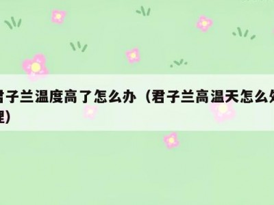君子兰温度高了怎么办（君子兰高温天怎么处理）