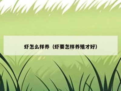 虾怎么样养（虾要怎样养殖才好）