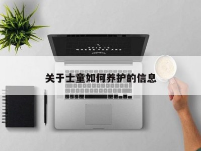 关于士童如何养护的信息