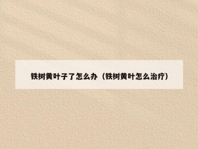铁树黄叶子了怎么办（铁树黄叶怎么治疗）