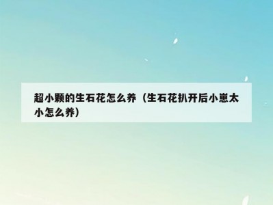 超小颗的生石花怎么养（生石花扒开后小崽太小怎么养）