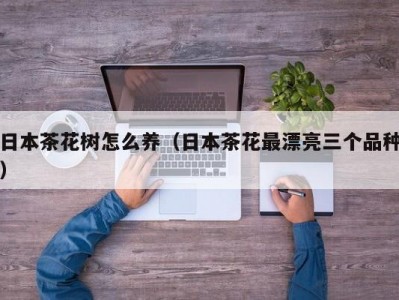 日本茶花树怎么养（日本茶花最漂亮三个品种）