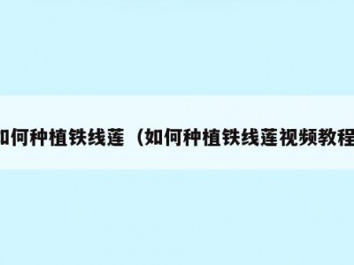 如何种植铁线莲（如何种植铁线莲视频教程）