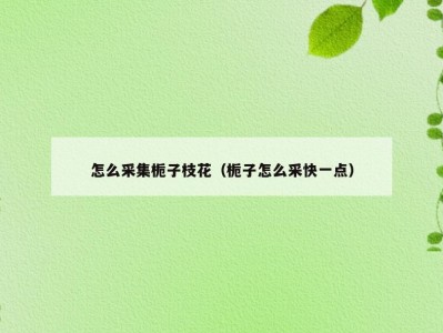 怎么采集栀子枝花（栀子怎么采快一点）