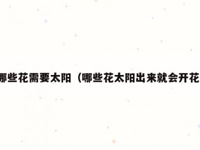 哪些花需要太阳（哪些花太阳出来就会开花）