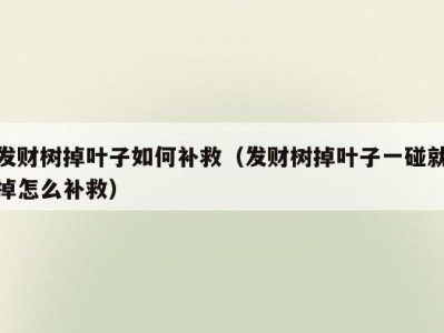 发财树掉叶子如何补救（发财树掉叶子一碰就掉怎么补救）