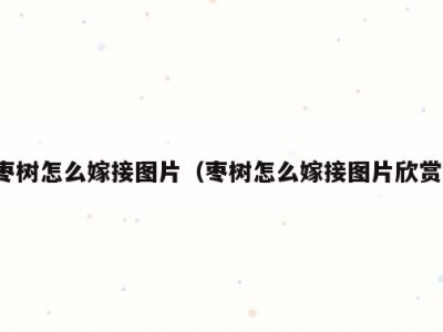 枣树怎么嫁接图片（枣树怎么嫁接图片欣赏）