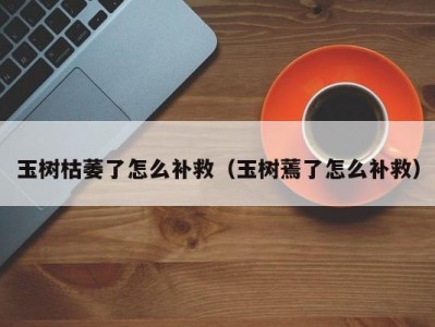 玉树枯萎了怎么补救（玉树蔫了怎么补救）