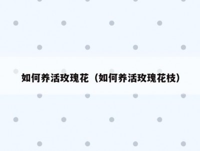 如何养活玫瑰花（如何养活玫瑰花枝）