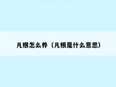 凡根怎么养（凡根是什么意思）
