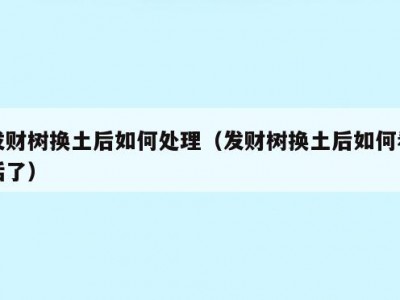 发财树换土后如何处理（发财树换土后如何看活了）