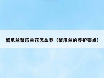 蟹爪兰蟹爪兰花怎么养（蟹爪兰的养护要点）