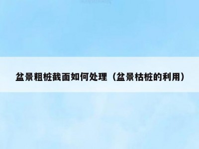 盆景粗桩截面如何处理（盆景枯桩的利用）