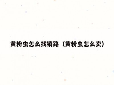 黄粉虫怎么找销路（黄粉虫怎么卖）