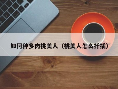 如何种多肉桃美人（桃美人怎么扦插）