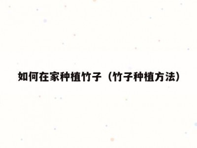 如何在家种植竹子（竹子种植方法）