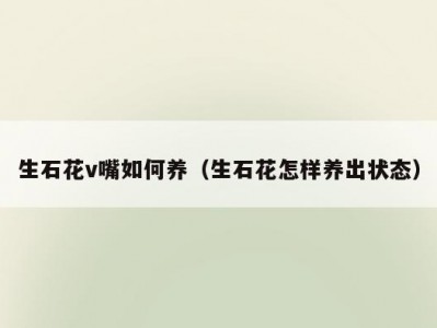 生石花v嘴如何养（生石花怎样养出状态）