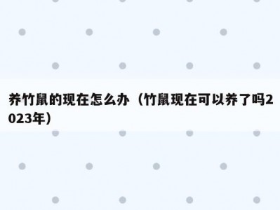 养竹鼠的现在怎么办（竹鼠现在可以养了吗2023年）