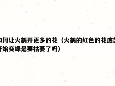 如何让火鹤开更多的花（火鹤的红色的花底部开始变绿是要枯萎了吗）